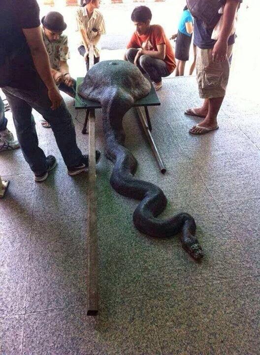 Via: Twitter/@_youhadonejob)
