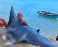 Arrestan a tipo que pescó una mantarraya en Las Terrenas