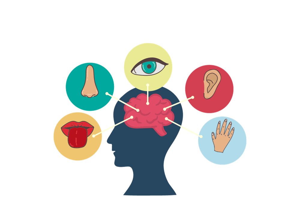 Engaging your five senses to boost remote productivity