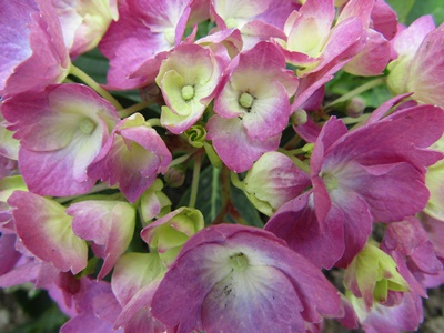 112a