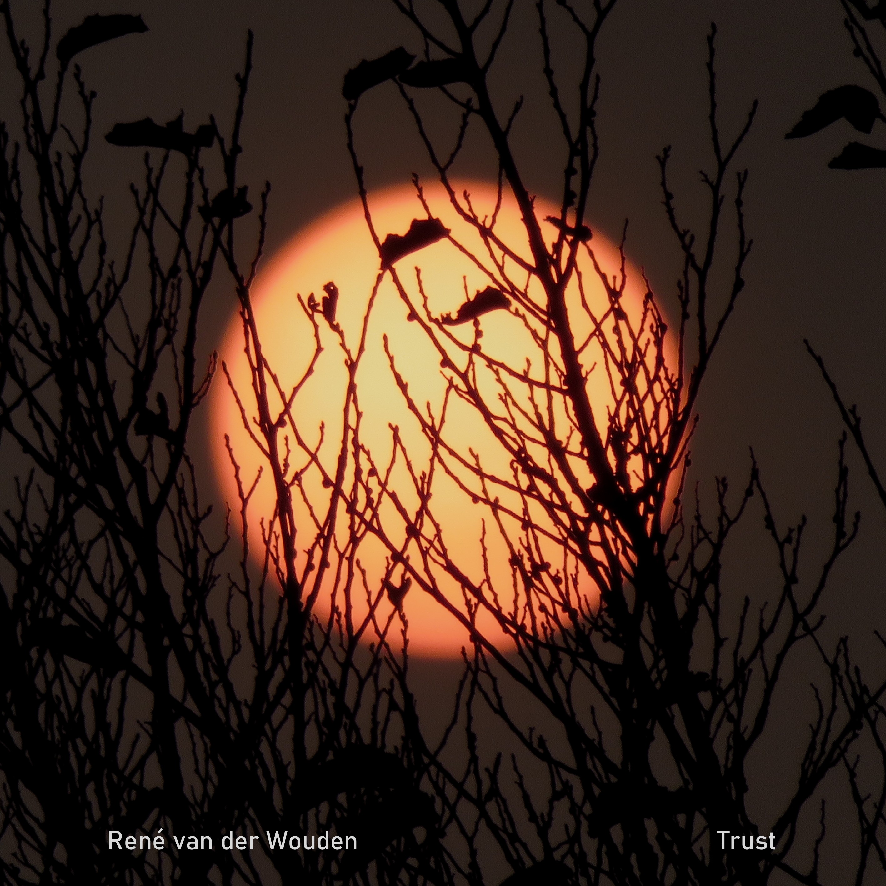Trust album cover