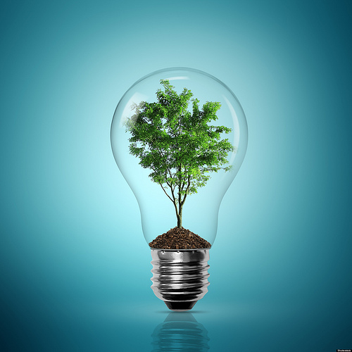 light bulb with tree