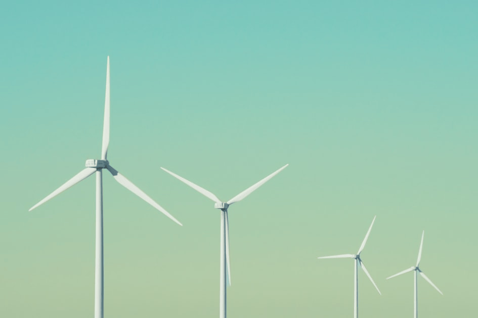 Why Invest in Renewable Domains?