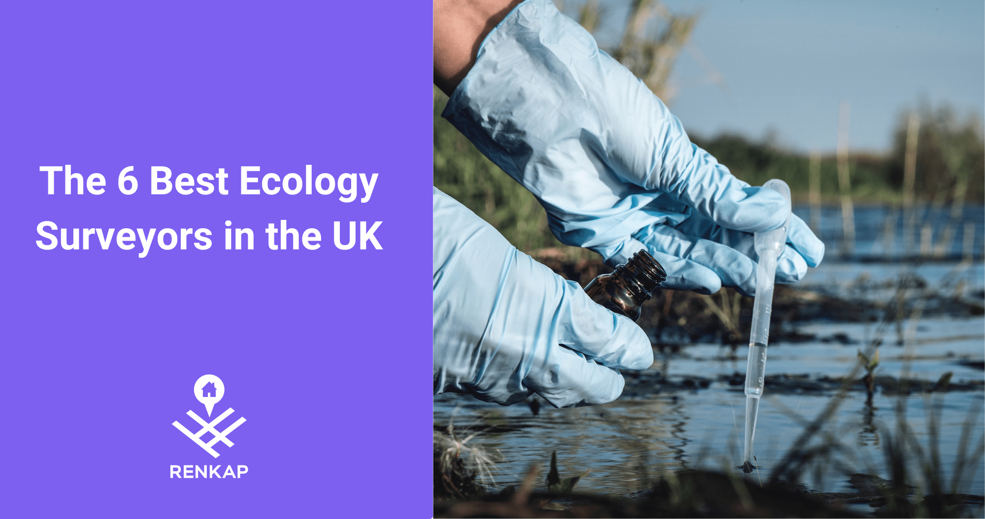 Blog - Ecology Survey