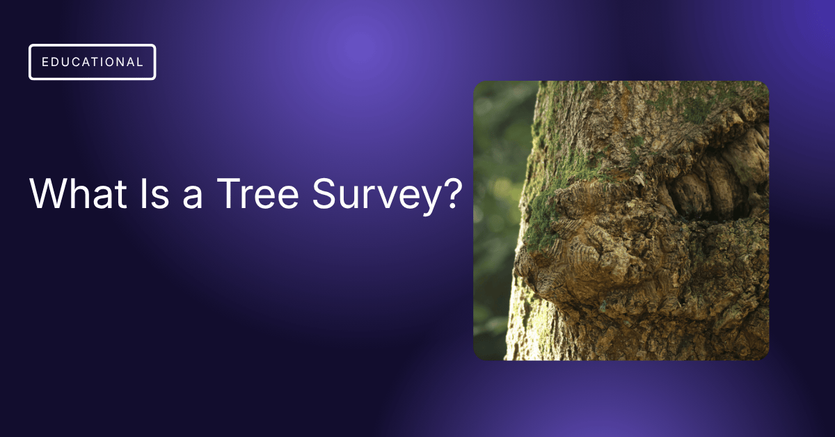 What is a Tree Survey?
