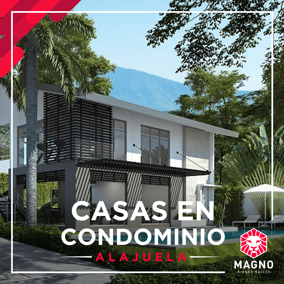 Redes Sociales Magno