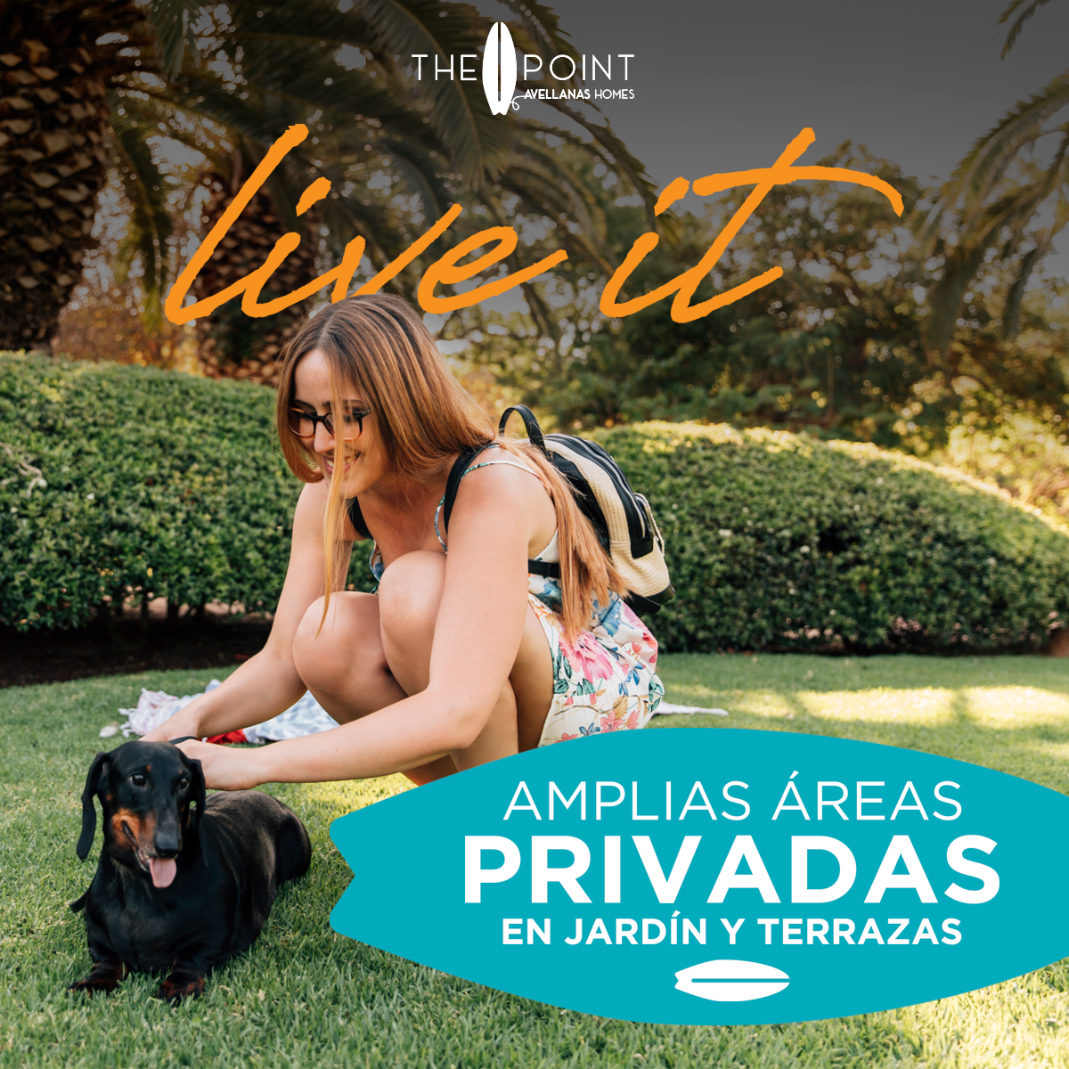 Redes Sociales The Point