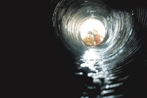 See the victims before their lives go down the tube.
