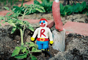 As a child, Mr. Reno detested the children who called him Mr. Tomato Head. Today, he likes the nickname, and he spent all Memorial Day weekend planting nothing but tomatoes in his raised garden bed …