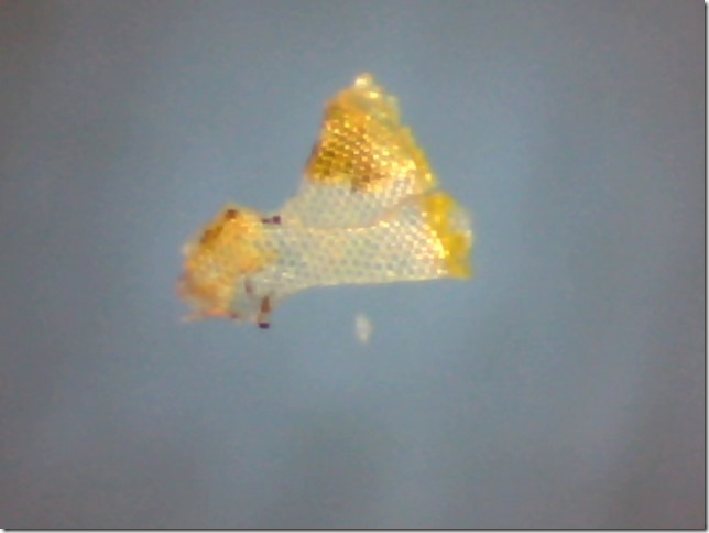 Still0079 (2) - Copy