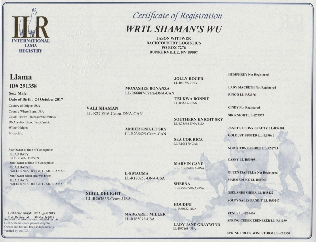 Wu – SOLD