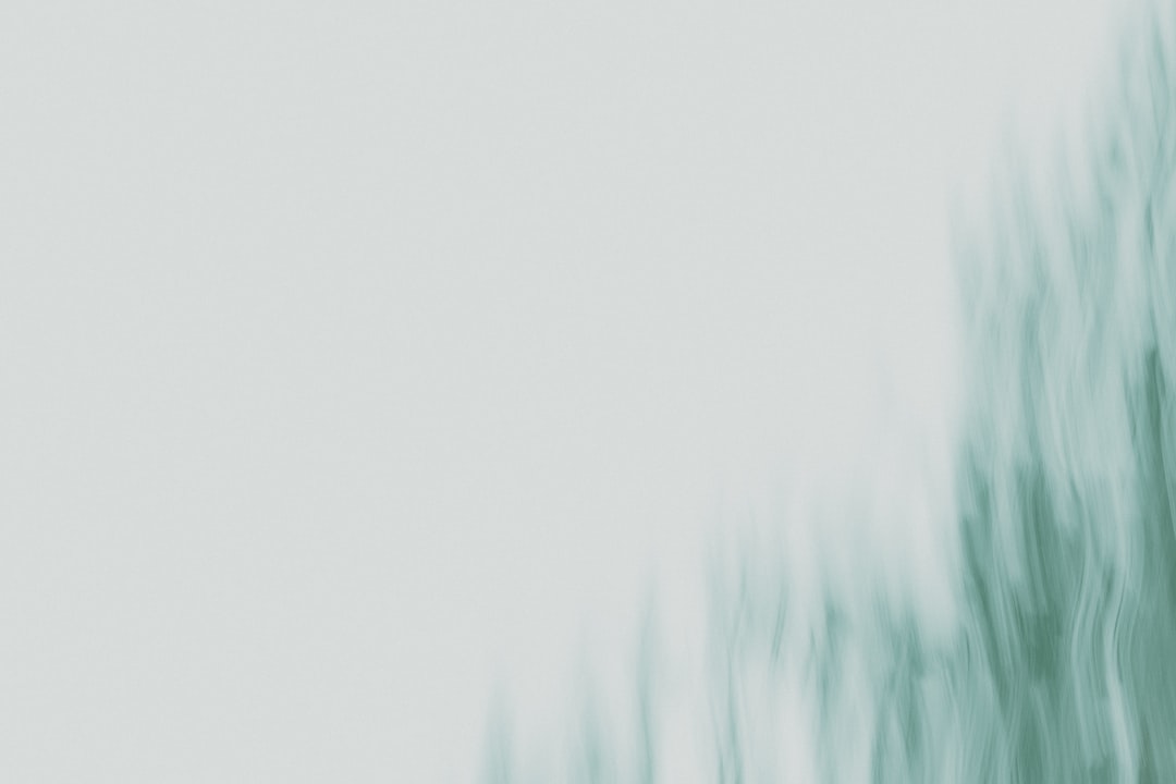A blurry photo of a tree with no leaves