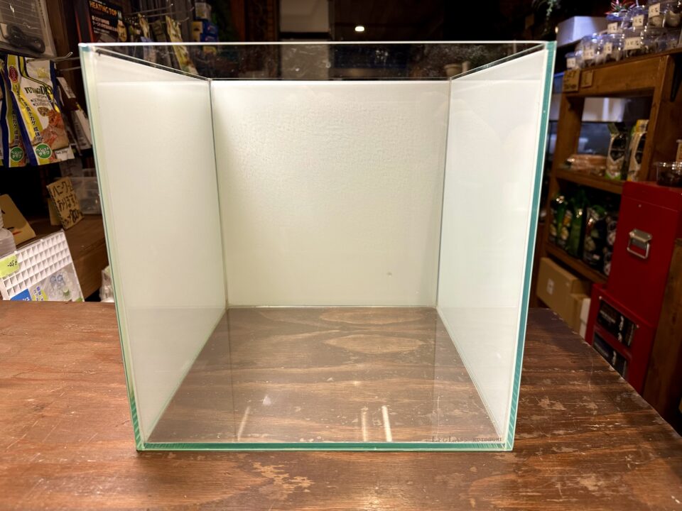 1月10日(金)の営業時間・在庫エサのご案内