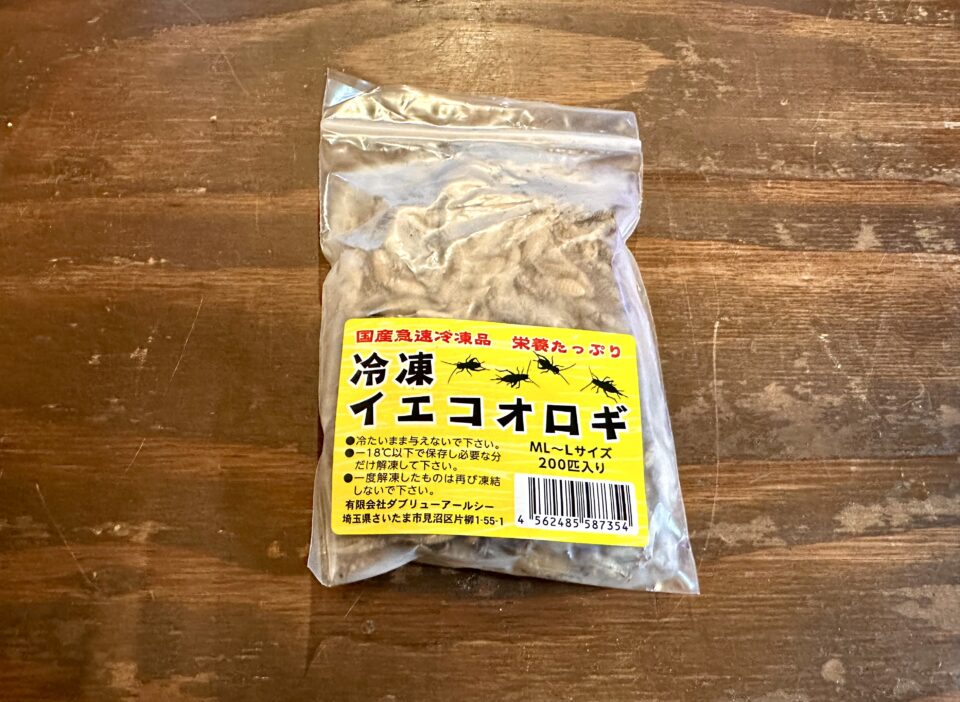 4月8日(火)の営業時間・在庫エサのご案内