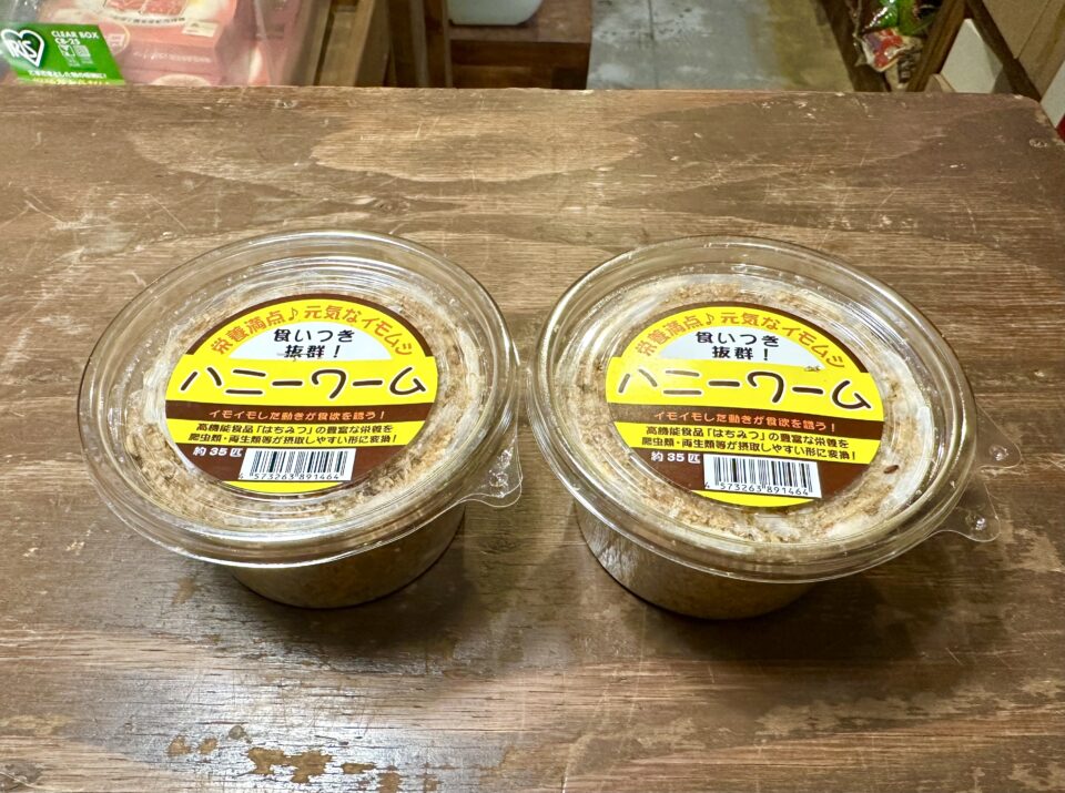 2月18日(火)の営業時間・在庫エサのご案内