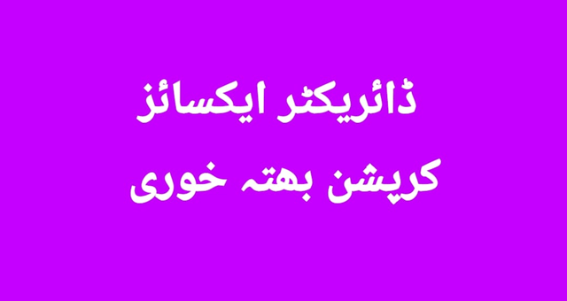 ڈائریکٹر ایکسائز لاہور