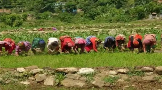 WhatsApp Image 2023 09 17 at 14.59.10