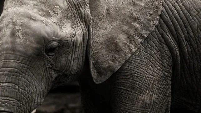 WhatsApp Image 2024 01 02 at 10.12.07