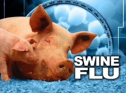 WhatsApp Image 2024 01 04 at 16.46.22