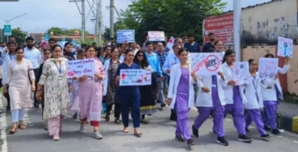 WhatsApp Image 2024 08 17 at 17.51.26 jpeg