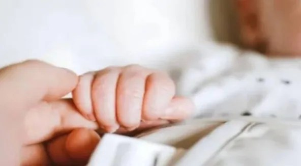 WhatsApp Image 2024 08 20 at 19.44.53 jpeg