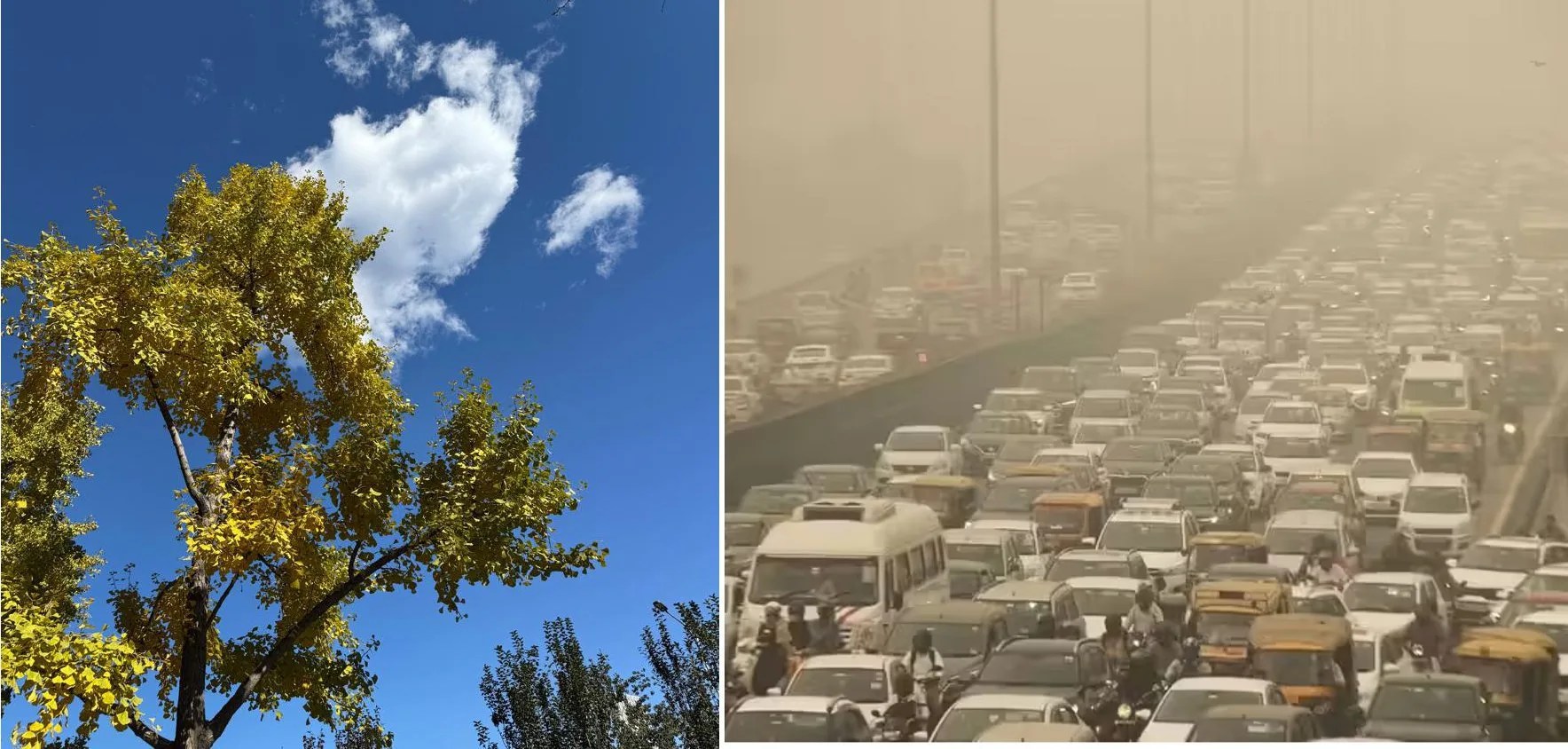 दिल्ली में गंभीर प्रदूषणः प्रदूषण से निपटना चीन से सीखे भारत