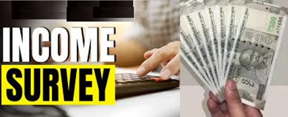 Income survey