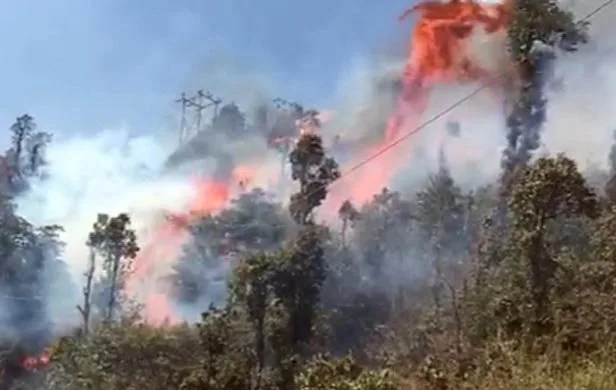 Fire seejan