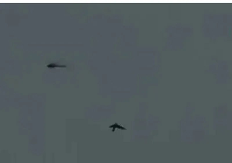 Heli