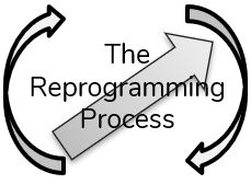 The Reprogram Online Your Reprogram Reset Reintegrate Reinforce - Ocean Images - Artistic 4K Collection