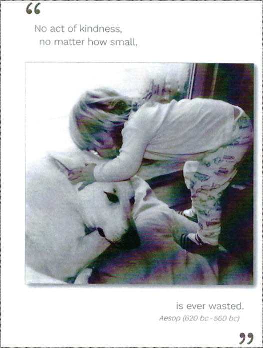 I don’t Recognize My America Anymore!