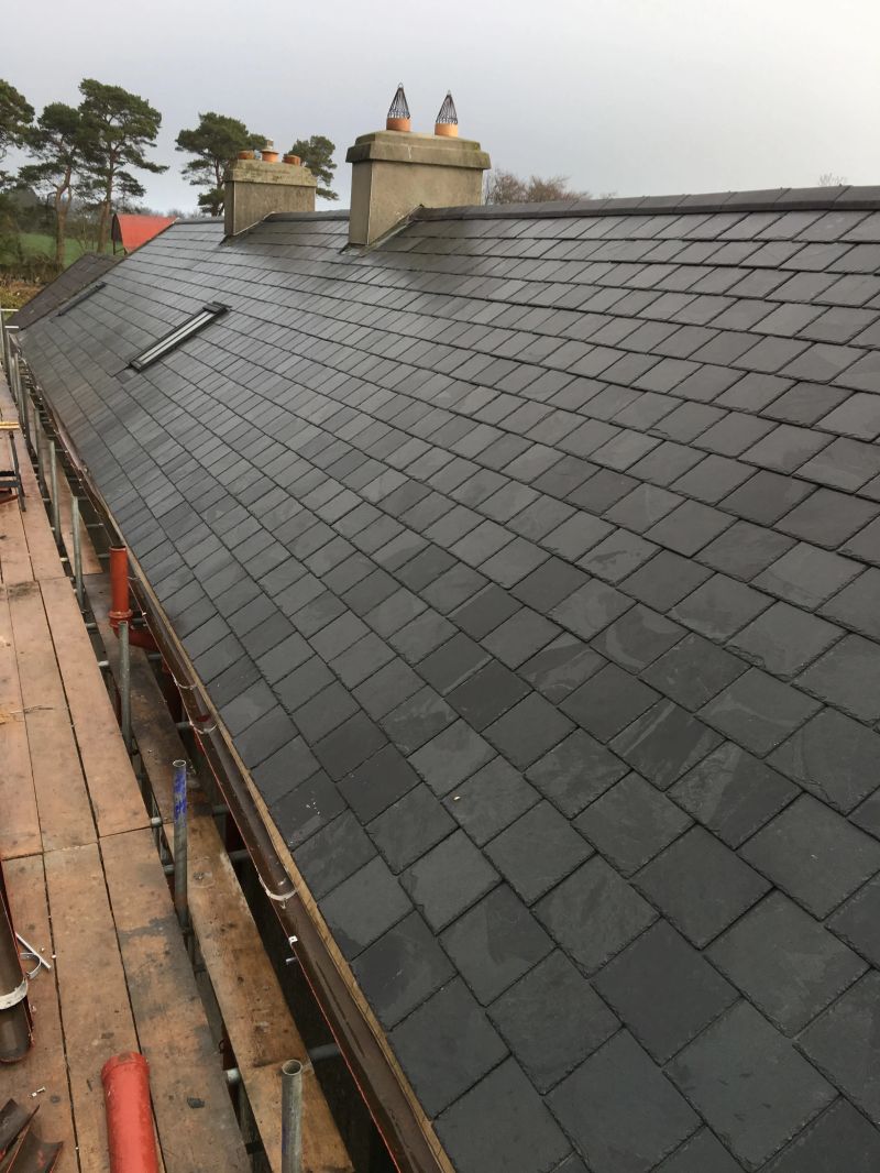 Roofs - Premium Colorful Illustration Gallery - HD