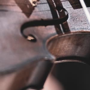 All Ears Idiom - HD Sunset Pictures for Desktop