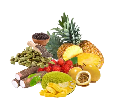 Pineapple The Agrifresh - Dark Picture Collection - Desktop Quality