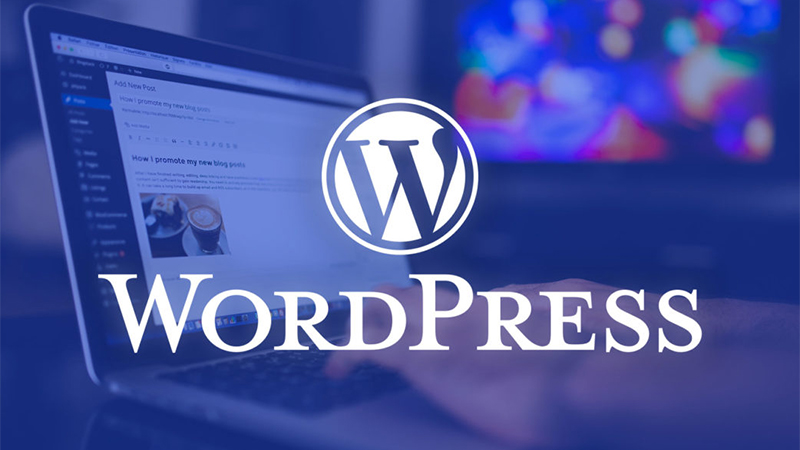 Everyone can read, but only wpml clients can post here. How to Build a Subscription-Based Store on WordPress | JivoChat