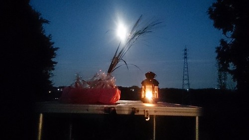 完熟まであとしばらく。