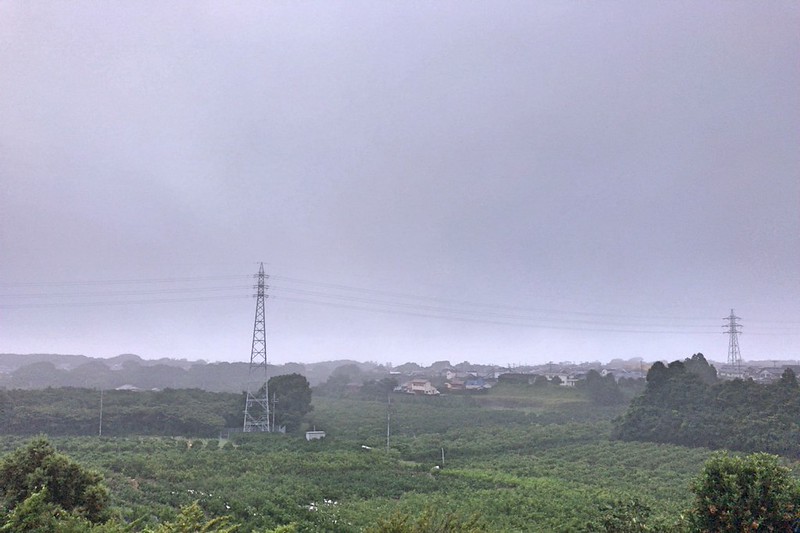 シート掛けの作業。