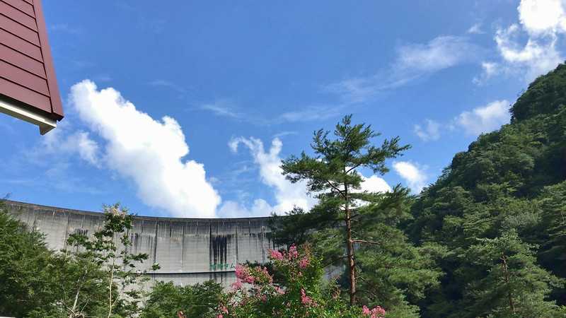 台風一過の葉面散布。