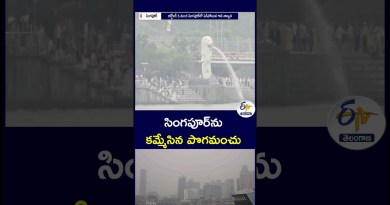 సింగపూర్‌ను కమ్మేసిన పొగమంచు  #SingaporeNews #AirPollution #SingaporeHaze #WorldNews #BreakingNews