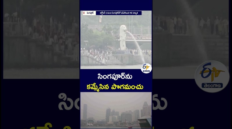 సింగపూర్‌ను కమ్మేసిన పొగమంచు  #SingaporeNews #AirPollution #SingaporeHaze #WorldNews #BreakingNews