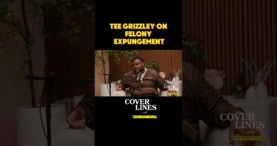 Tee Grizzley On Felony Expungement #teegrizzley, #hiphopmusic, #prison, #felony, #rap