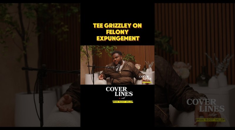 Tee Grizzley On Felony Expungement #teegrizzley, #hiphopmusic, #prison, #felony, #rap