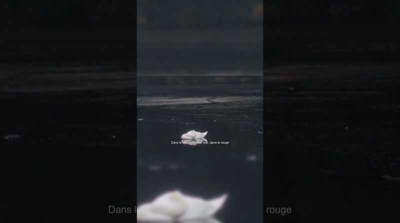 BEN plg Musique pour fermer les yeux (Prod Baxter) #rap #hiphop #music