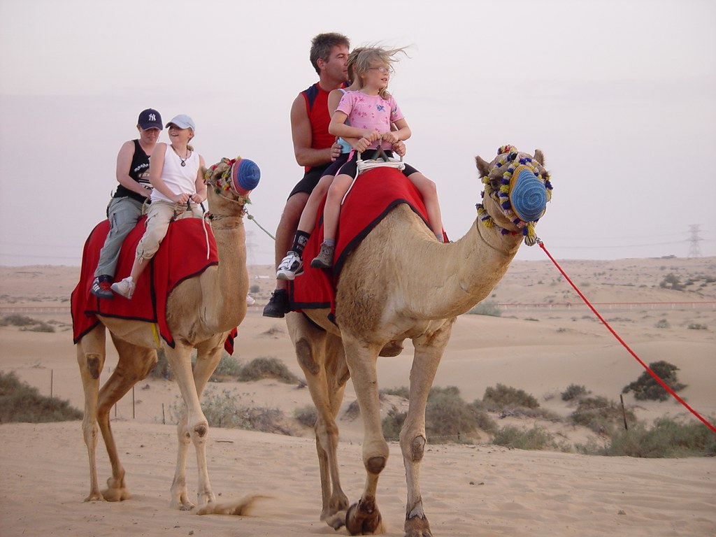 Dubai Desert Safari Weather – Top Tours, Adventures, and Travel Guide 2025
