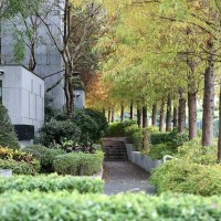 [嘉義] 泰勒瓦生活 Terroir La Vie：遠離塵囂的咖啡館