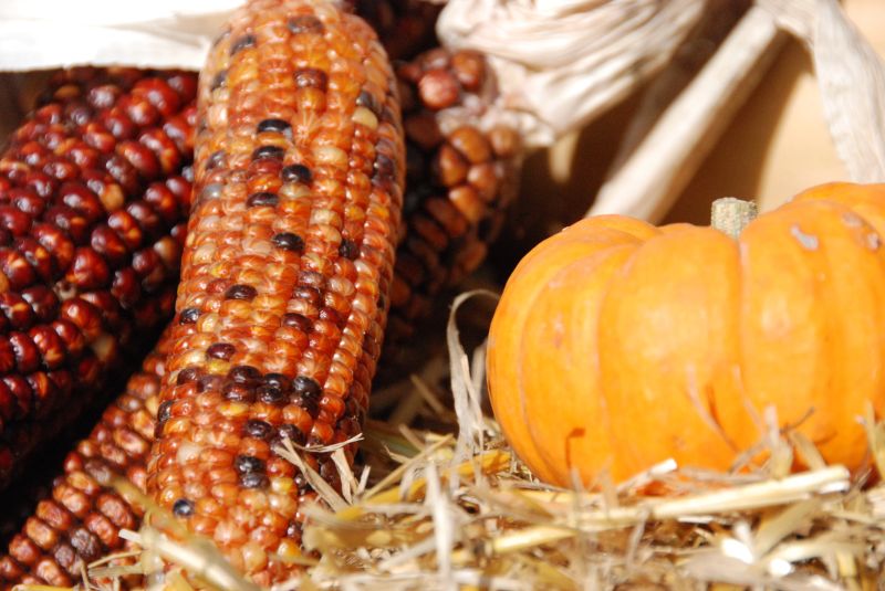 Corn Chowder Kosher Com - Classic High Resolution City Designs | Free Download