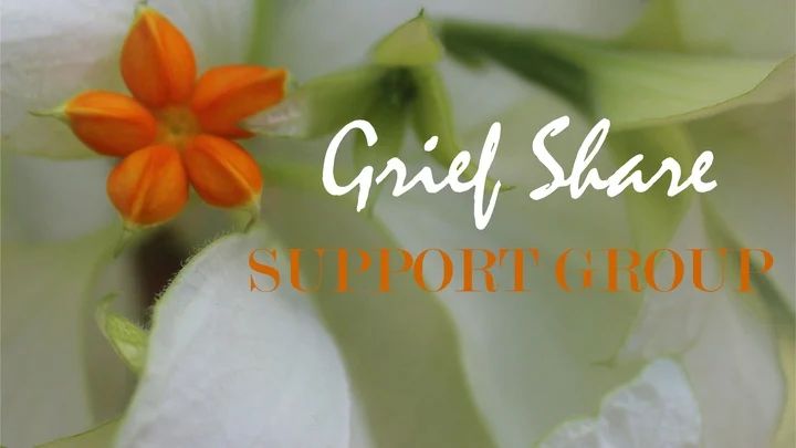 Joy Fellowship On Behance - Best Mountain Arts in 8K