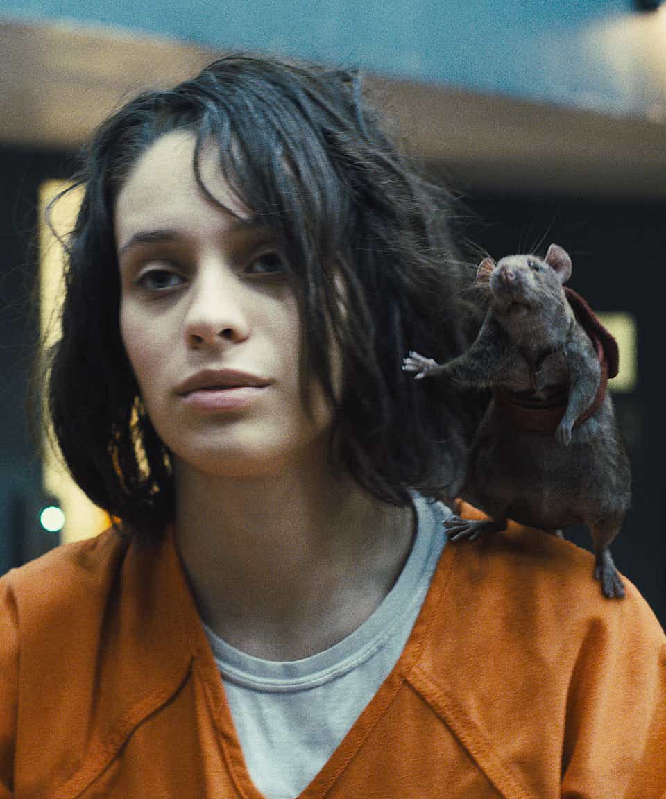 Daniela melchior's height is 5 feet 8 inches. The Suicide Squad S Daniela Melchior Might Make You Like Rats Opera News