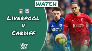 National league n / s; 52xaud23ux2q M