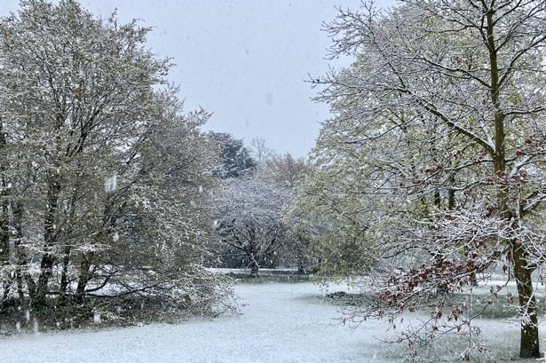 1.5m temperature wind gust rain rate snow rate snow . Met Office Christmas Weather Forecast For Reading And Rest Of Berkshire Opera News